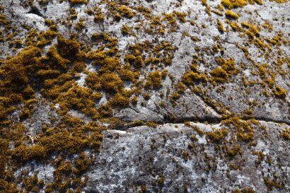 Odinbilder, Odin bild