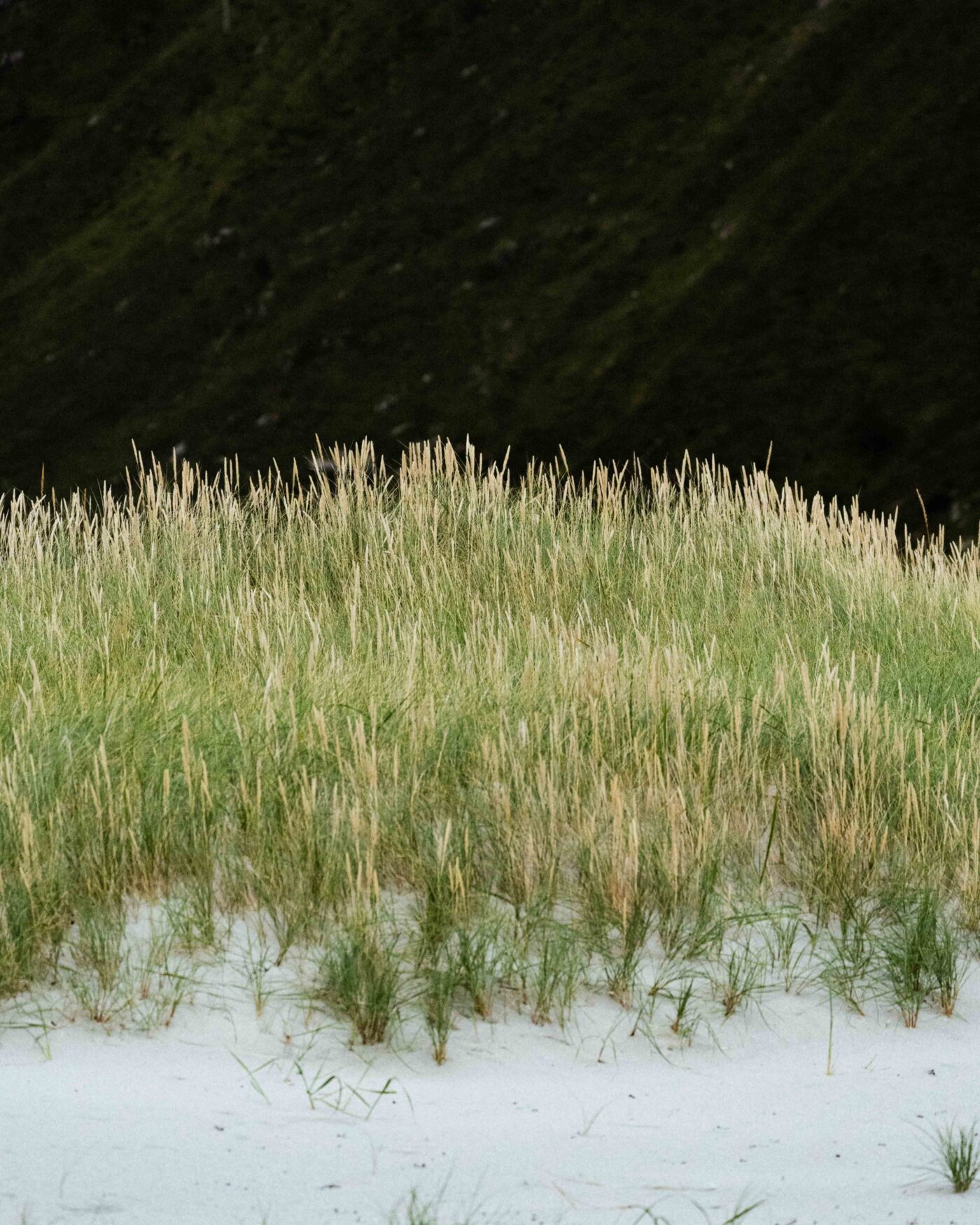 Odinbilder, Odin bild