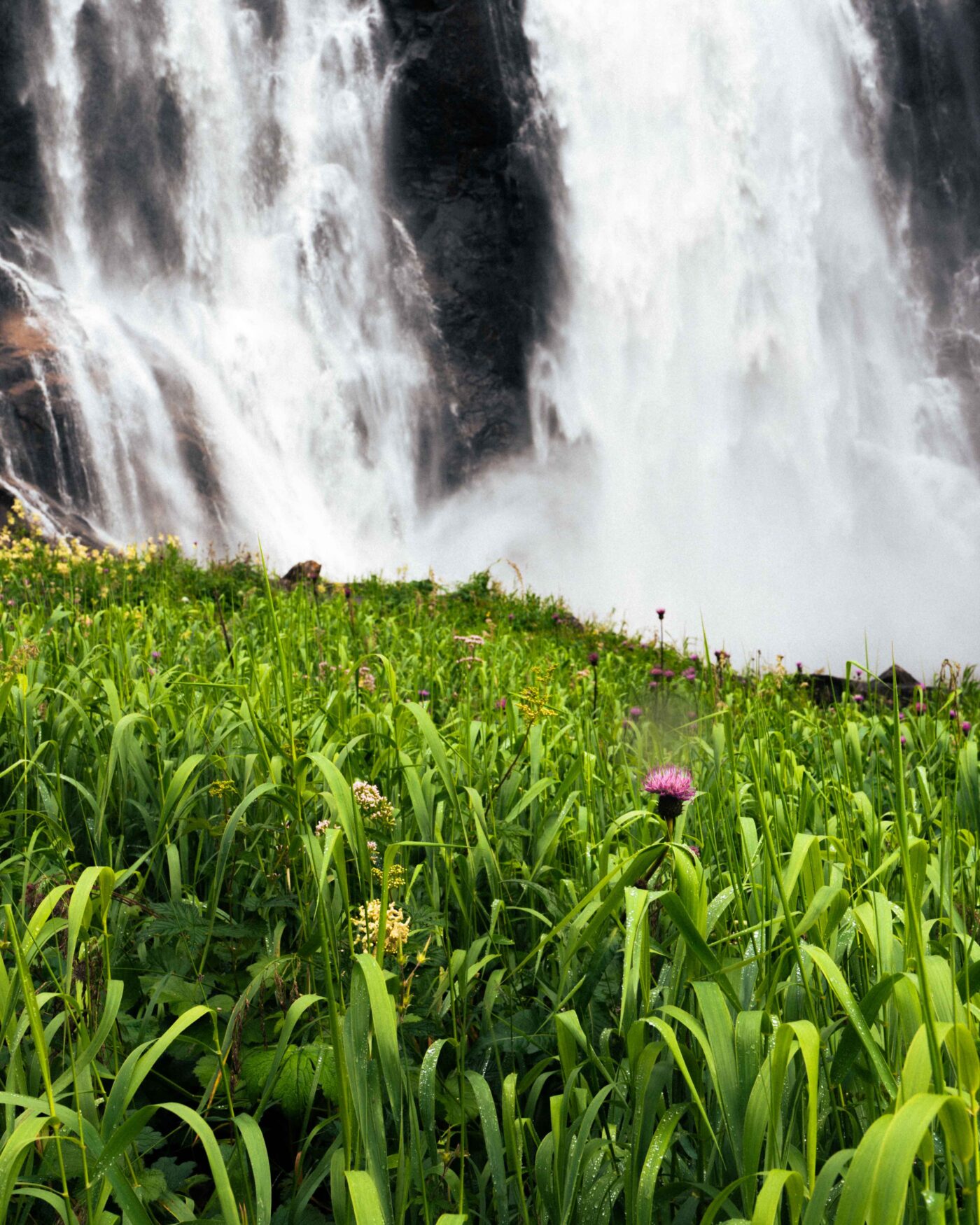 Odinbilder, Odin bild, Small Cap